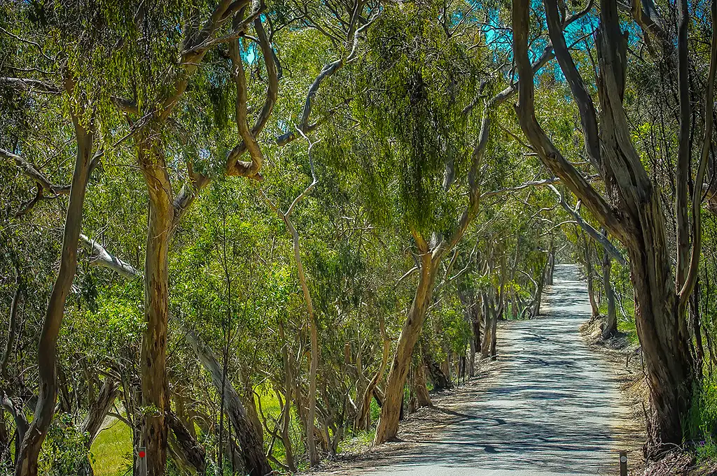 Clare Valley UnCorked Wine Tour from Adelaide