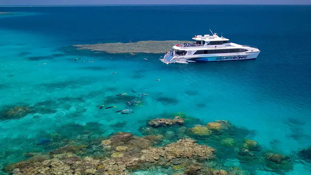 Silversonic Great Barrier Reef Snorkel Adventures from Port Douglas