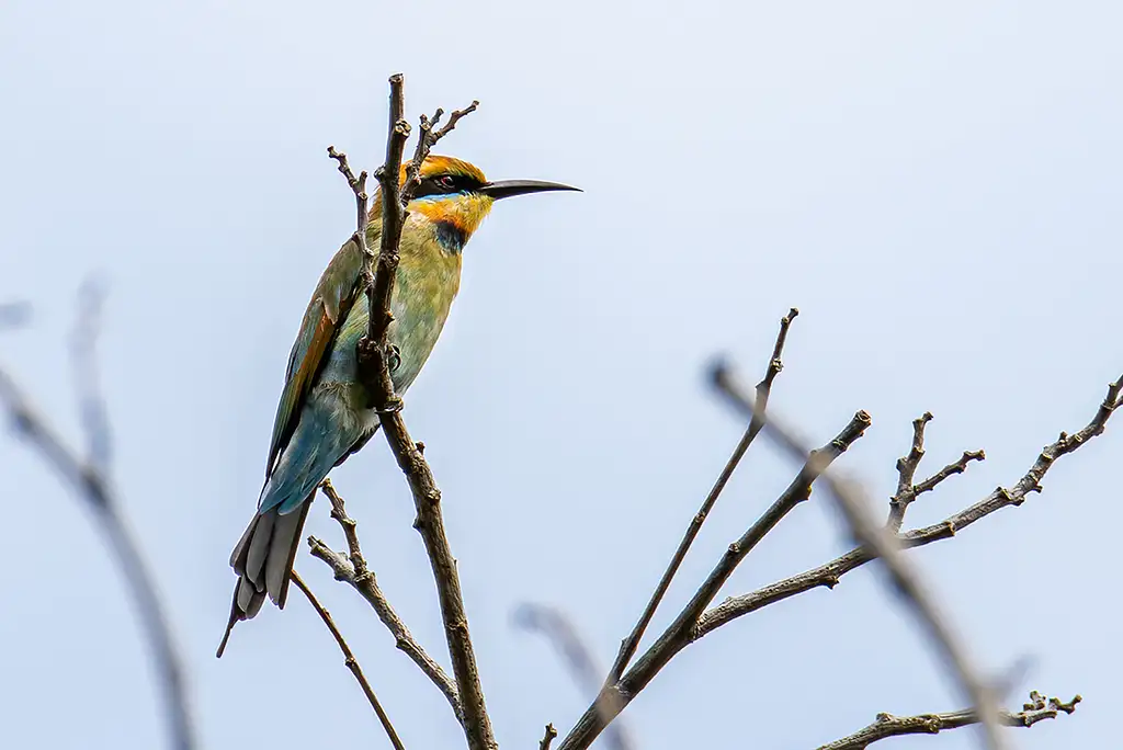 8 Day Kakadu National Park Hike