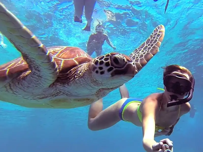 12 Day Bali Intro Tour Canggu to Ubud | Intro Travel