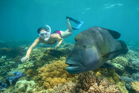 great-barrier-reef-from-cairns 1.jpg