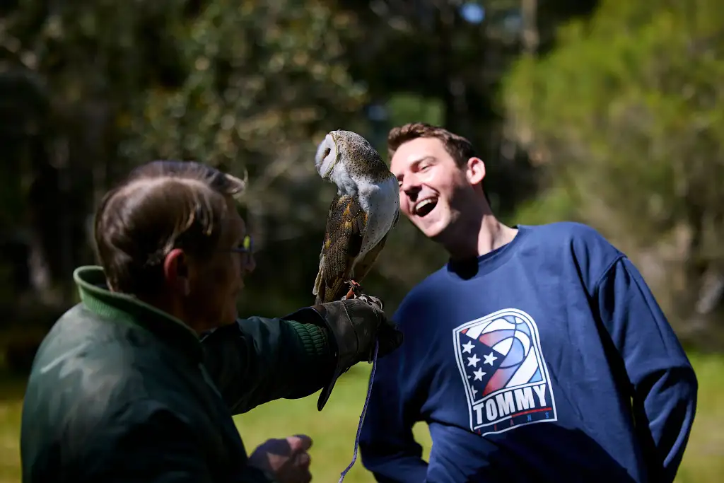 Capes Raptor Centre: Encounters and Birds of Prey Forest Walk