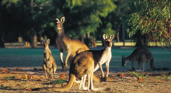Two Day Extended Tour Margaret River Region