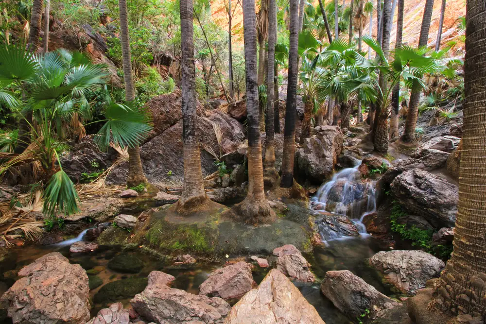 11 Day Wild Kimberley Overland Tour | Departing Broome