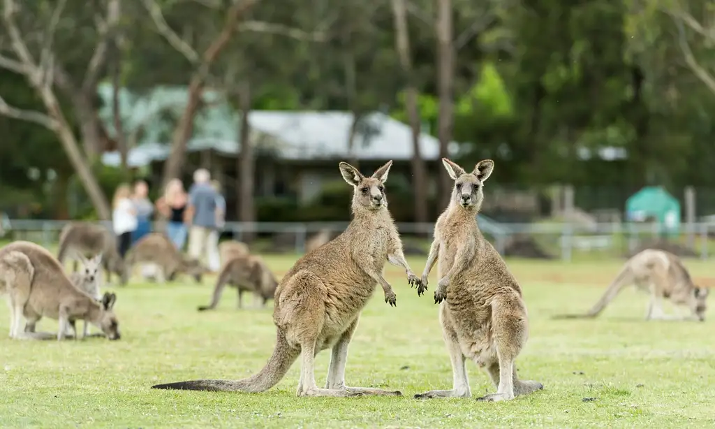 Grampians National Park Day Tour | From Melbourne