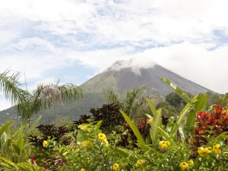 Caño Negro Wildlife Refuge Tour from Arenal