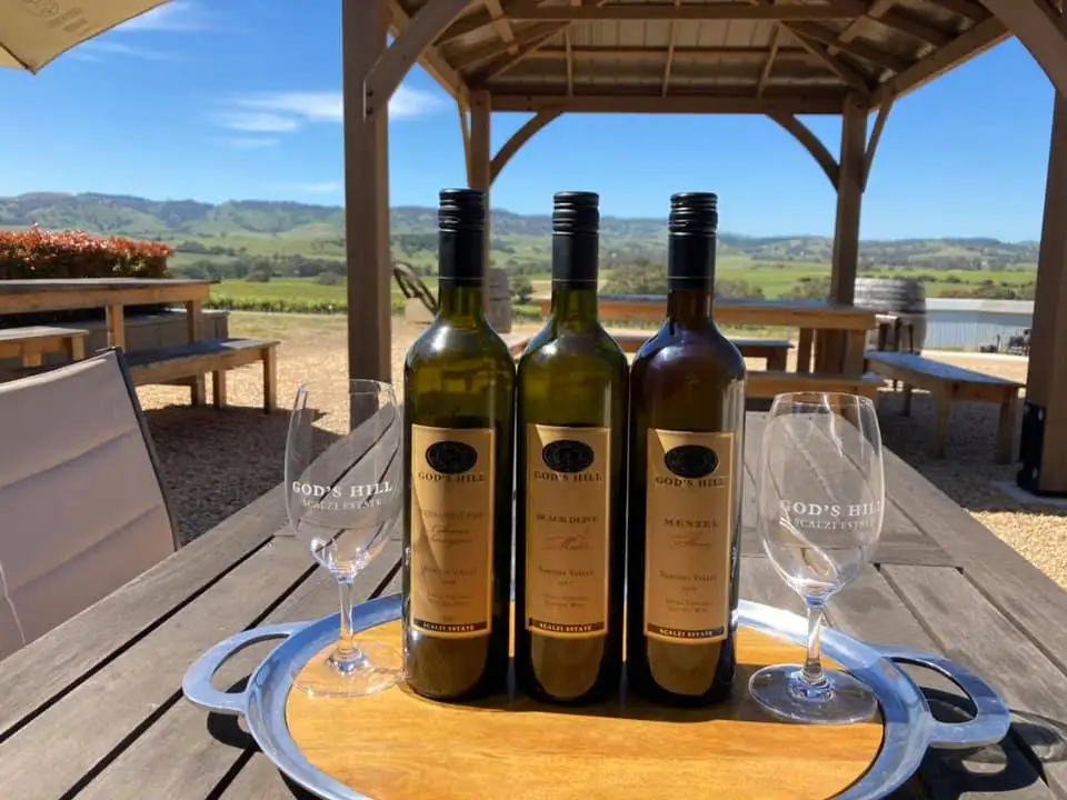 Barossa Valley Food & Wine Experience with Scenic Flight - God's Hill Wines