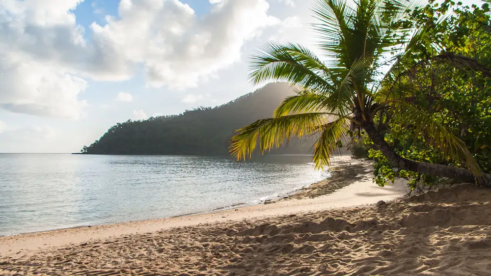 Dunk & Secret Cassowary Islands Day Trip | Departing Mission Beach