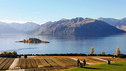 Wanaka Wine Tour Apres Ski