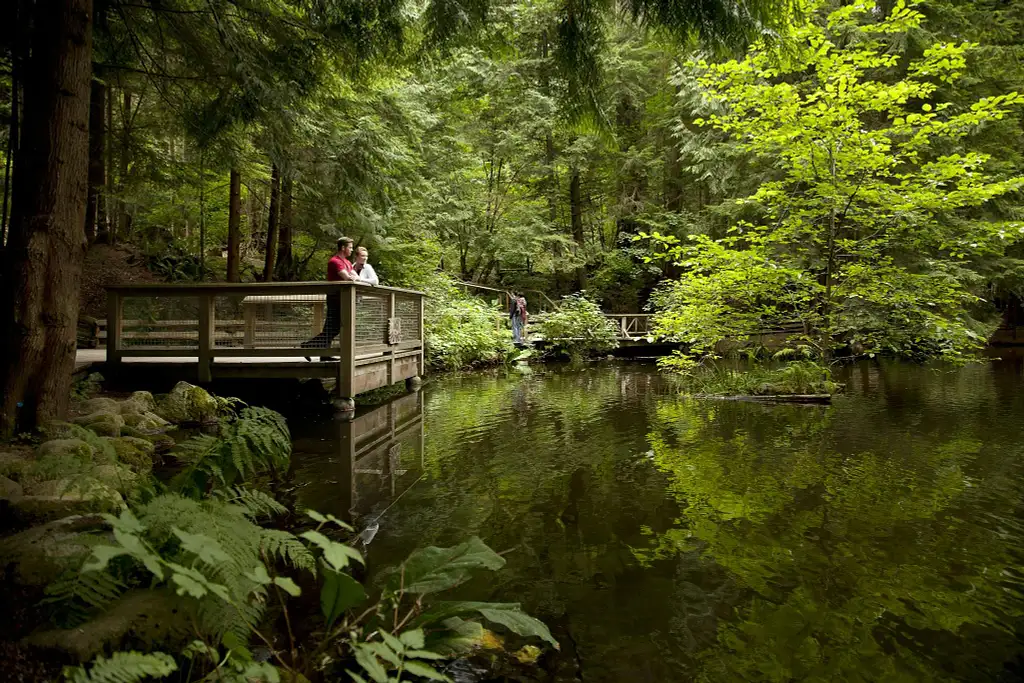 Vancouver City and Capilano Suspension Bridge Tour
