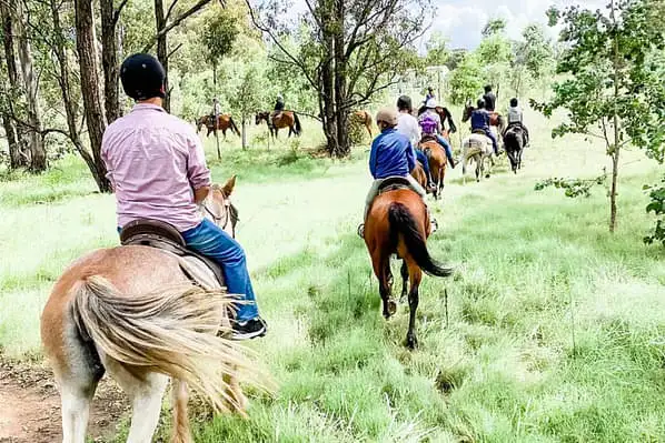 Hunter Valley horseback trail ride