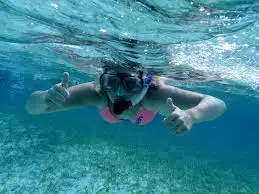 Snorkelling Adventure Tour From Fremantle