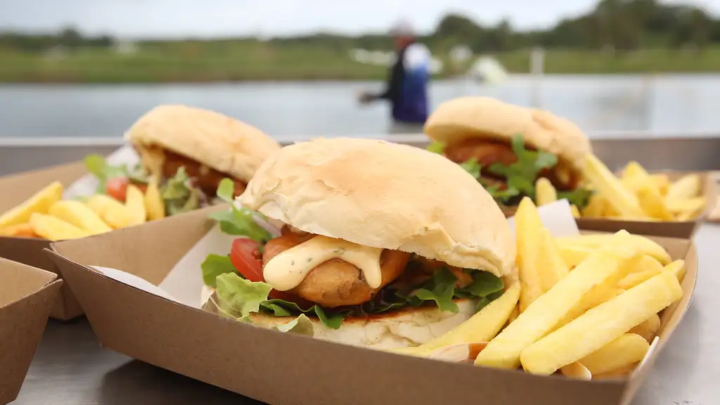 Hook-A-Barra Tour with Lunch & Port Douglas Transfers