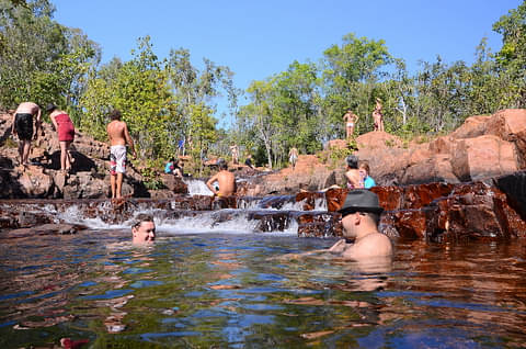 Litchfield Park Jumping Crocodile Cruise