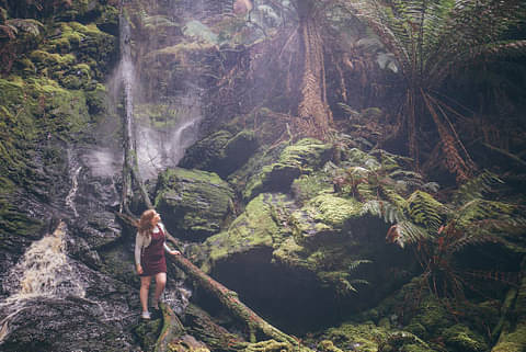 Cradle Mountain Tour Deals