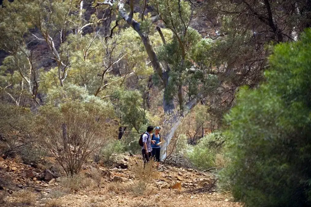 4 Day Daylesford & Goldfields Track Highlights Walking Tour