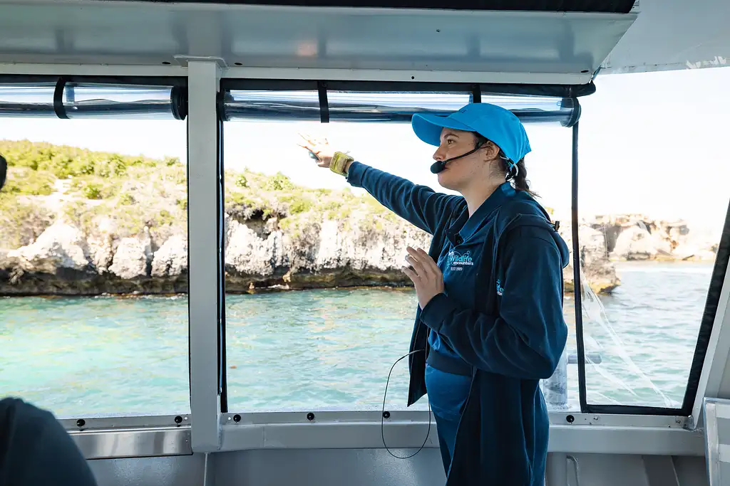 Dolphin, Penguin and Sea Lion Cruise - Departing Penguin Island