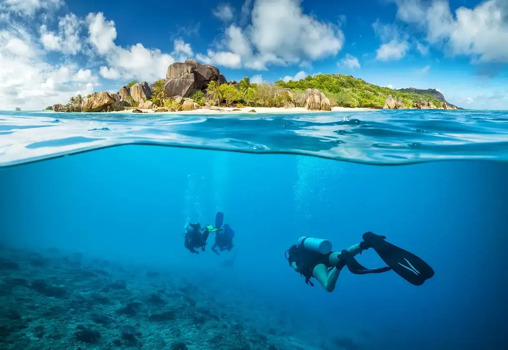 Discover Scuba Diving | Introductory Ocean Dive