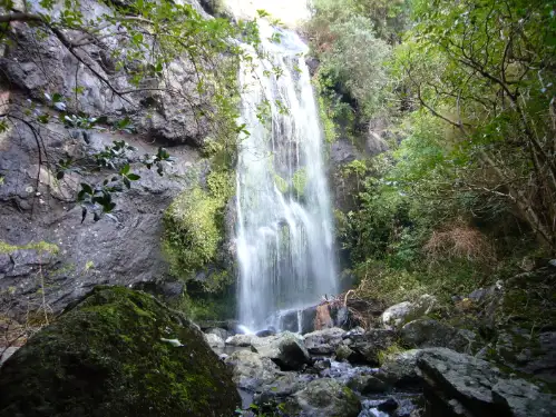 Hike and Kayak Combo - Akaroa