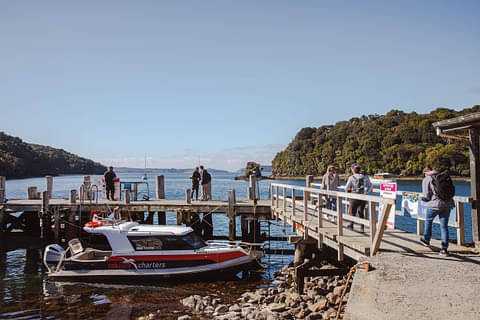Scenic Flight Over Stewart Island