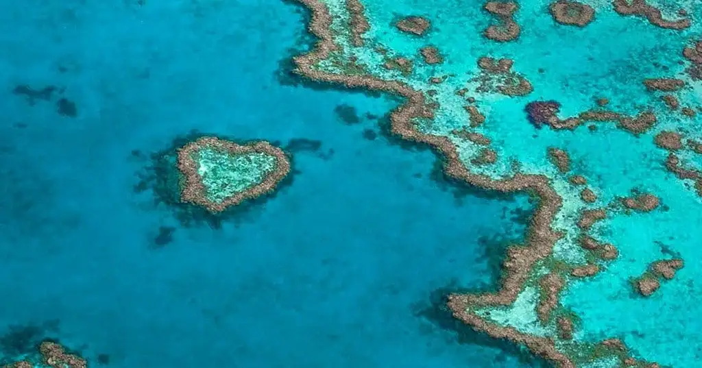 Thundercat Day Tour & 1 Hour Great Barrier Reef Scenic Flight | Fly to Paradise Combo