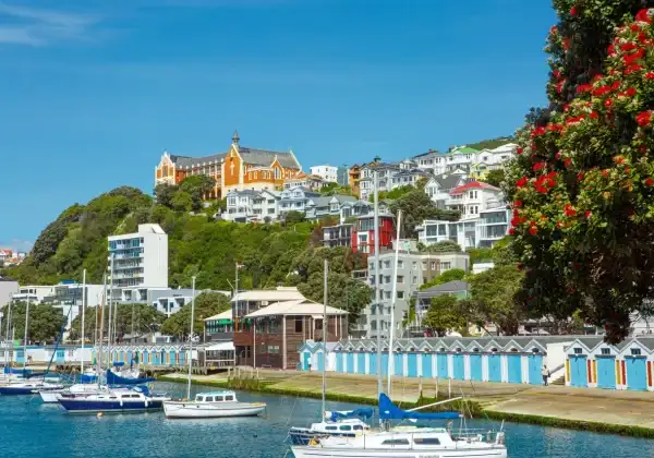 'Northern Round-up' Bus Pass | NZ North Island | Kiwi Experience