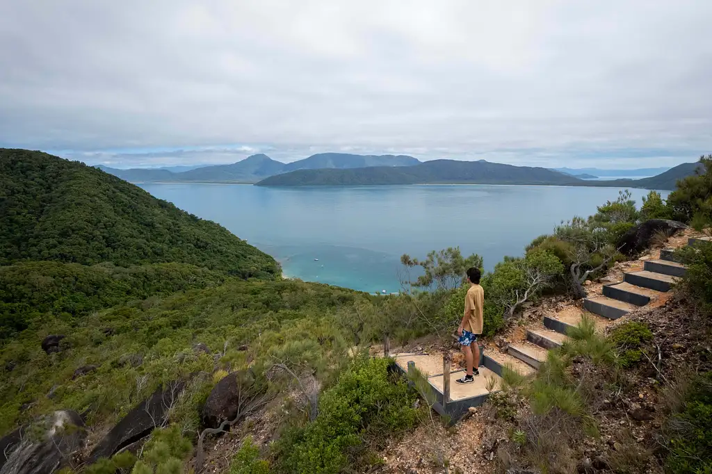 Fitzroy Island Half Day Tour