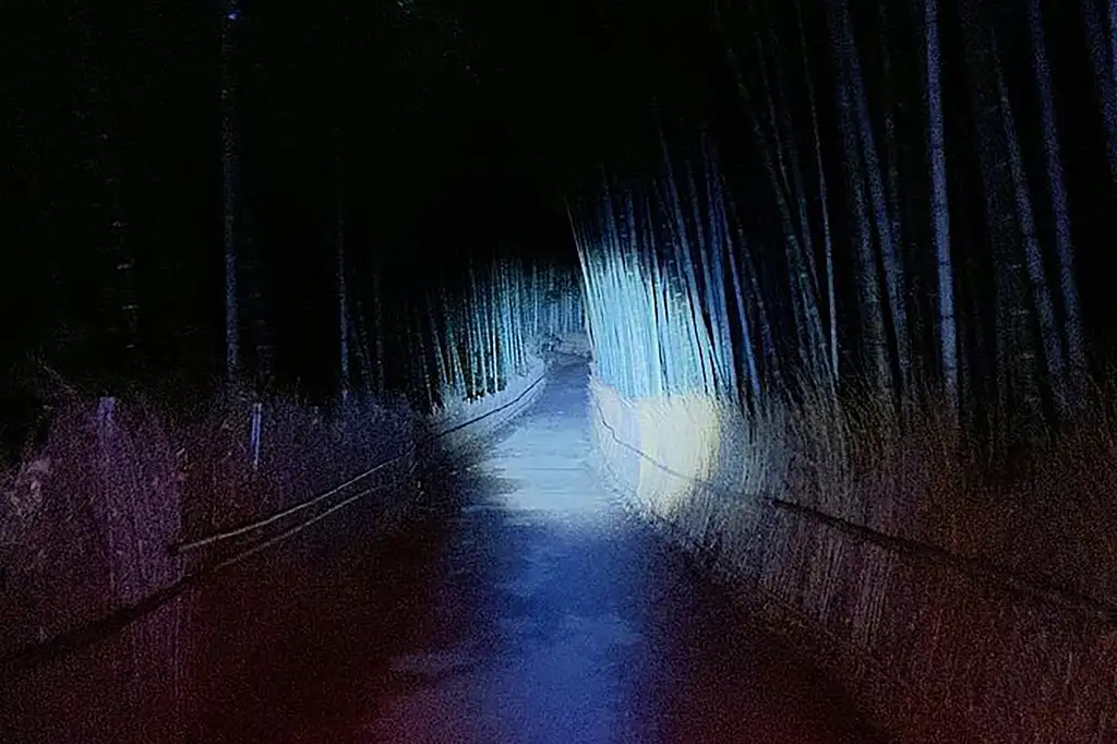 Ghost Hunting In The Bamboo Forest Arashiyama At Night