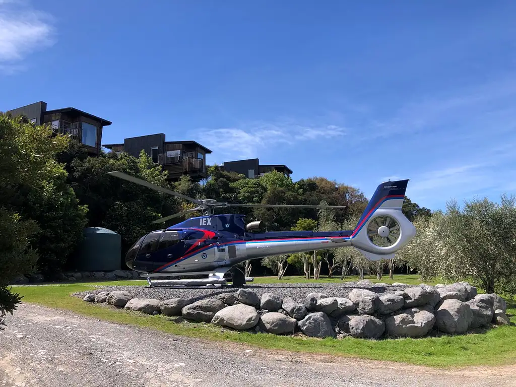 Kaikōura Whale Watching & Heli Gourmet experience  - For 2 people
