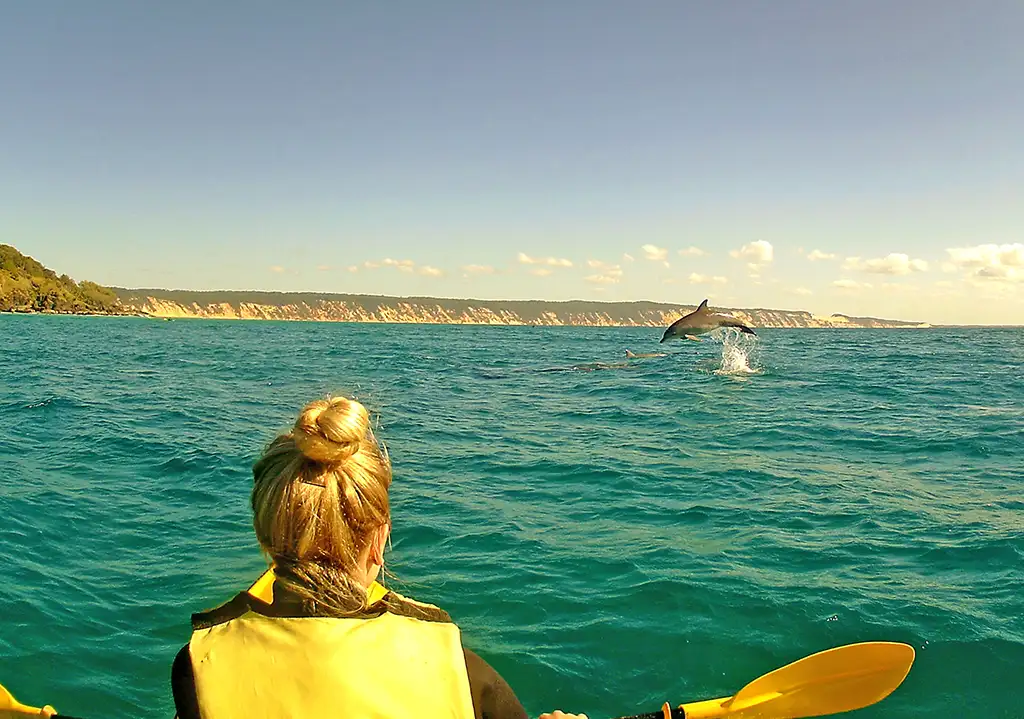 Full Day Double Island Point | Private Tour
