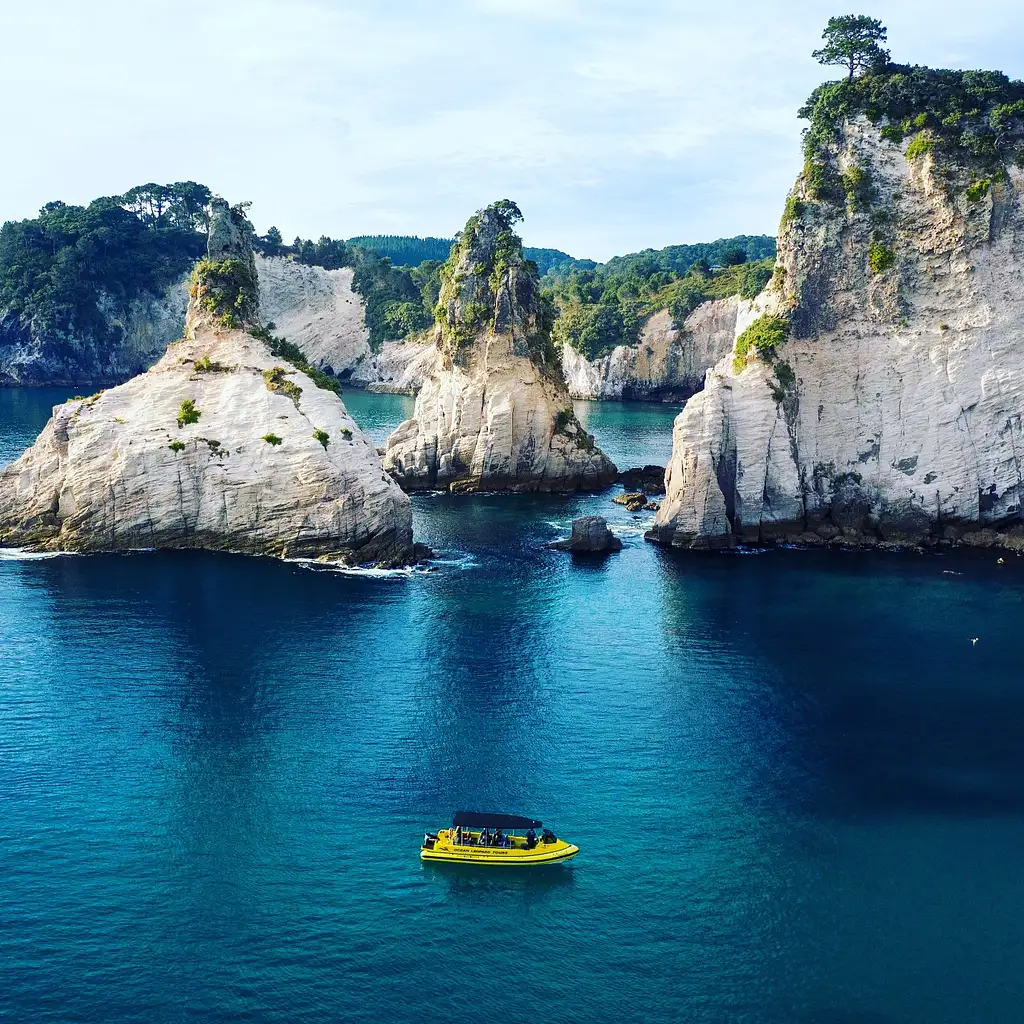 The Full Monty Boat Tour - New Zealand