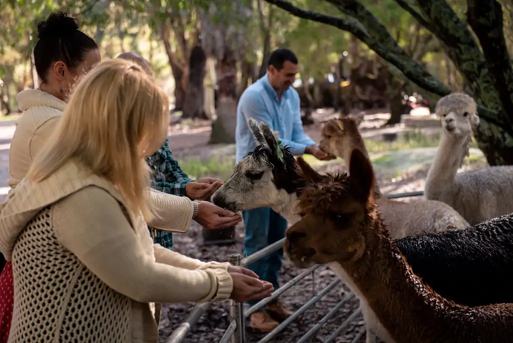 Hidden Gems - Wine, local produce & Nature Tour | Full Day Tour