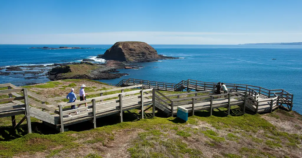 Half Day Phillip Island Tour | From Melbourne