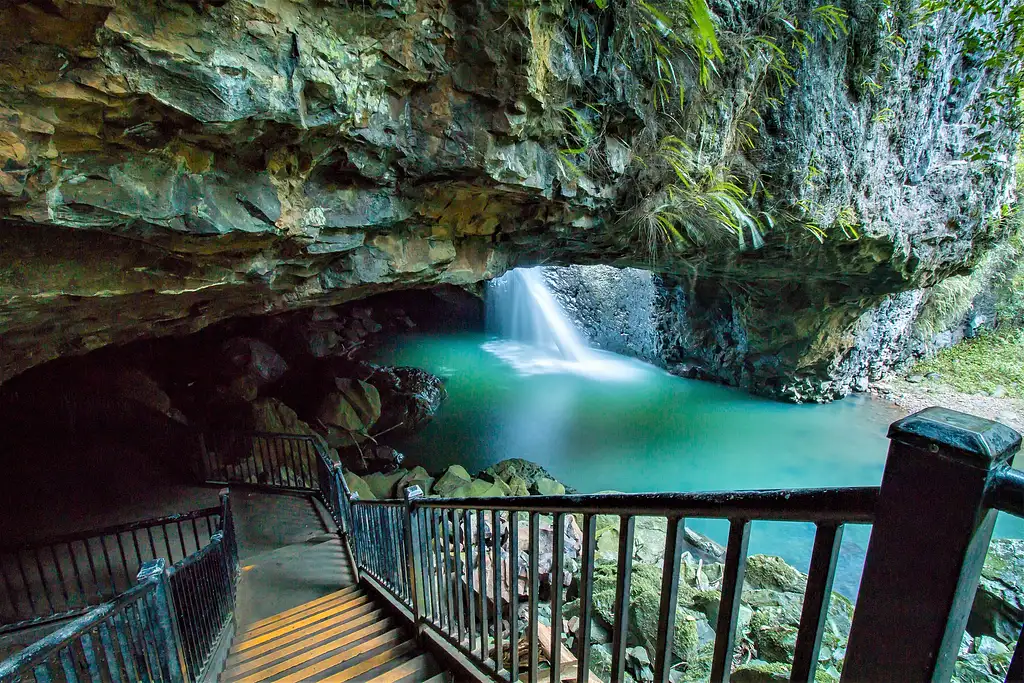 Springbrook Full Day Tour from Brisbane