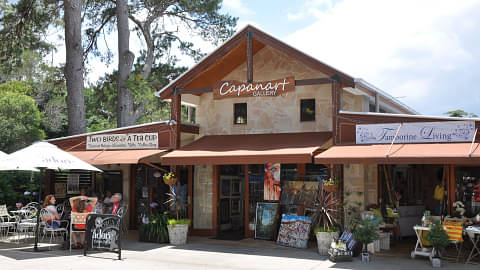 Gold Coast Mt Tamborine Tour Deals