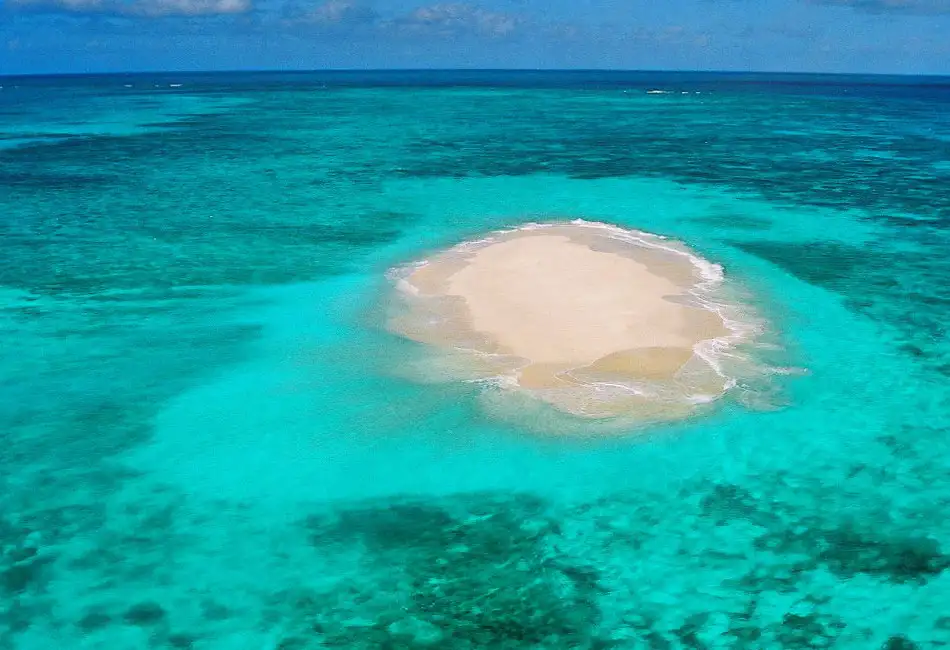 Reef & Rainforest Duo - 1 Hour Helicopter Flight