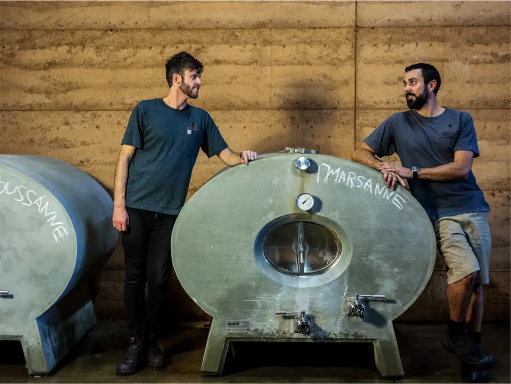 Premium Vineyard Wine & Food Tour - Margaret River