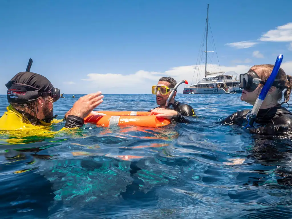 Full Day Outer Reef Tour + Be a Marine Bio Experience
