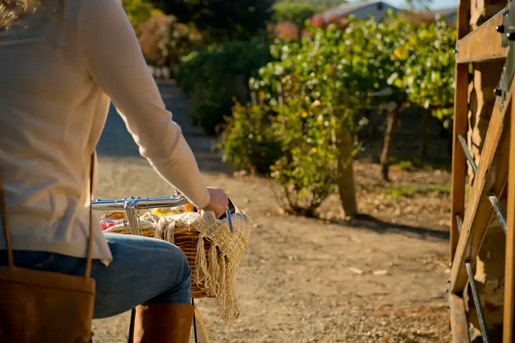 6 Day Guided Cycling Tour of South Australia Vineyards from Adelaide