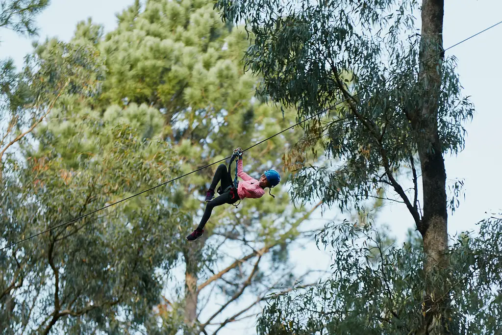 Forest Adventures Park 2.5 Hours Entry