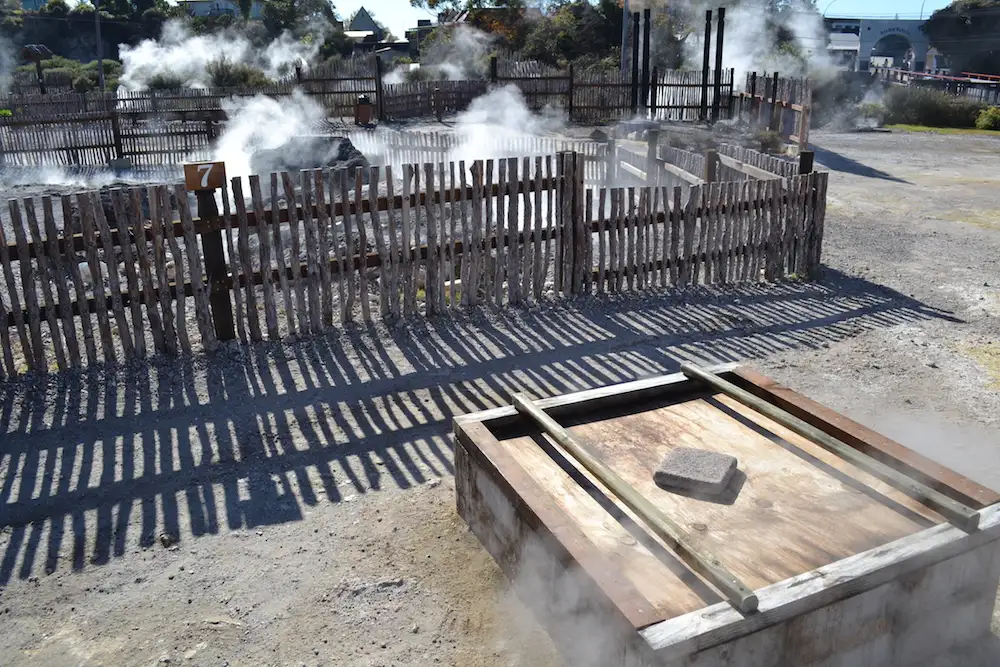 Whakarewarewa Village Guided Tour