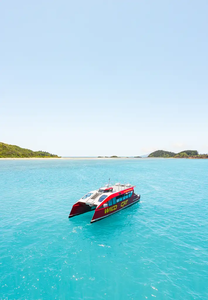 Wild Cat Mackay All-inclusive Snorkel & Islands Day Tour