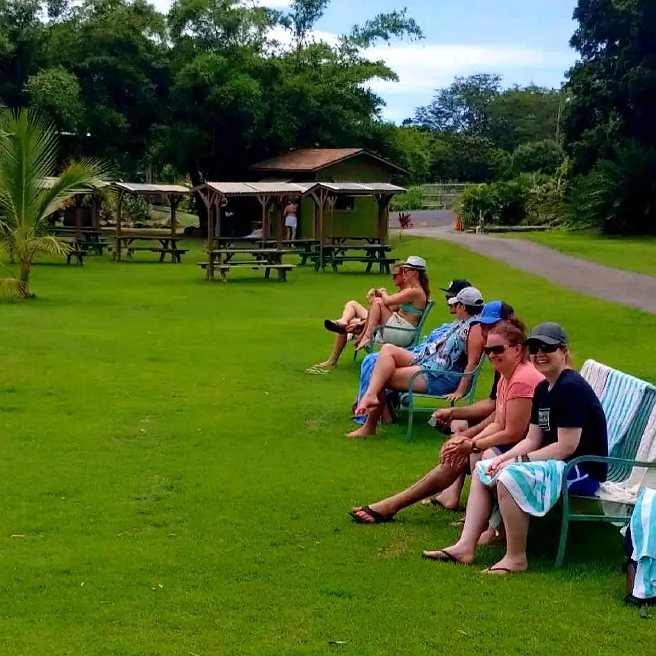 Oahu Island Turtle Tour