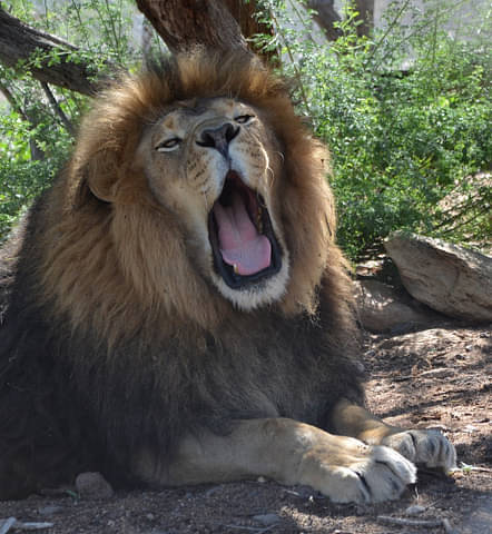 keepers of the wild nature park tours