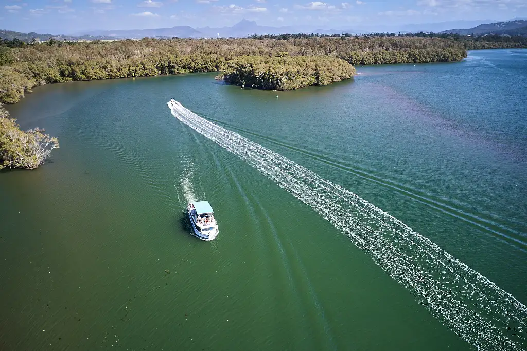 Tweed River Rainforest Cruise (option with lunch available)