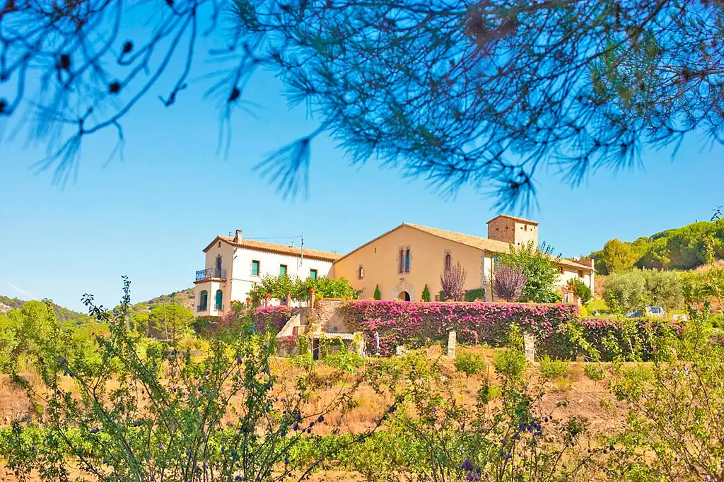 eBike Adventure From Barcelona Coastline To The Vineyards, Winery Tour