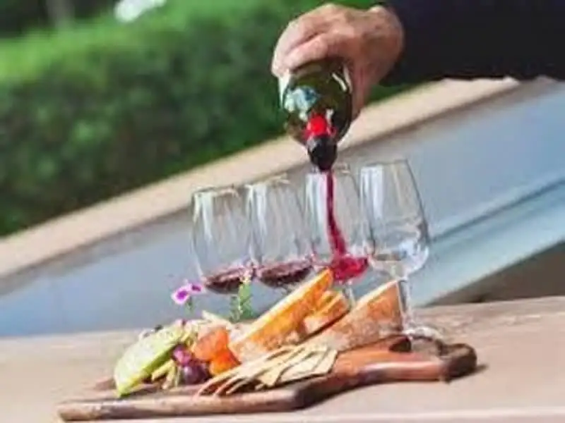 Mt Tamborine Food & Wine Full Day Tour
