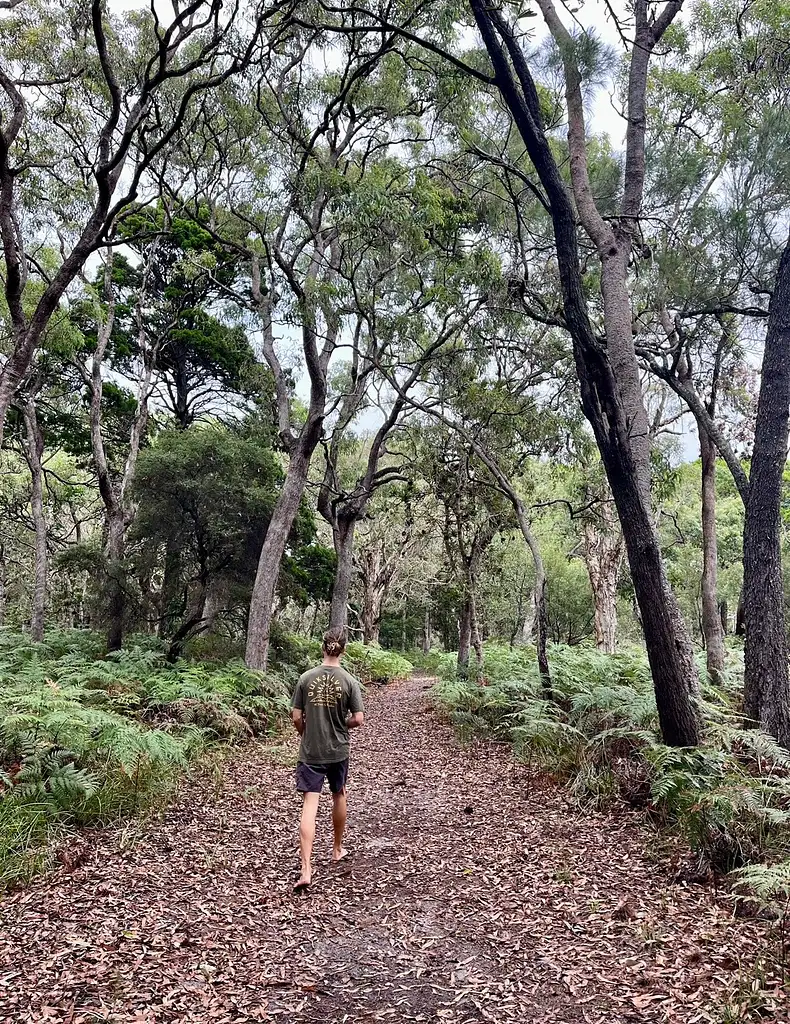 Tour to Tipplers on South Stradbroke Island from Gold Coast