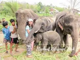 One Day Volunteer Program at Phuket Elephant Sanctuary