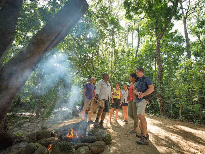 Port Douglas Tour And Mossman Gorge Dreamtime Walk